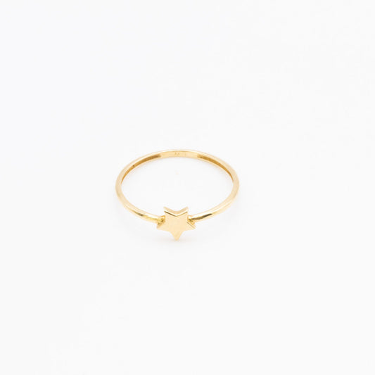 18K Signet Star